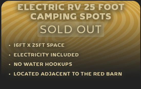 ELECTRIC RV 25FOOT